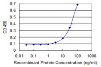 Sandwich ELISA: epithelial Sodium Channel gamma Antibody (2F3) [H00006340-M05] - Detection limit for recombinant GST tagged SCNN1G is 1 ng/ml as a capture antibody.