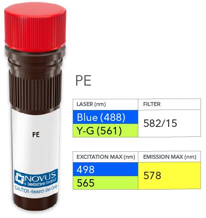 CD11b Antibody (908649) [PE] [FAB11241P] - Vial of PE conjugated antibody. PE has two excitation maxima, 498 nm excited by the Blue laser (488 nm) and 565 nm excited by the Yellow-Green laser (561 nm). Both result in emission at 578 nm.