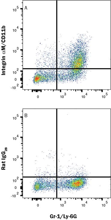 Mouse bone marrow cells were stained with Rat Anti-Mouse Ly-6G/Ly-6C (Gr-1) PE‑conjugated Monoclonal Antibody (Catalog # FAB1037P) and either (A) Rat Anti-Mouse CD11b/Integrin alpha M Alexa Fluor® 700‑conjugated Monoclonal Antibody (Catalog # FAB1124N) or (B) isotype control antibody (Catalog # IC013N). View our protocol for Staining Membrane-associated Proteins. 