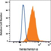 Human whole blood granulocytes were stained with Mouse Anti-Human TNFRII Phycoerythrin Monoclonal Antibody (FAB11226P, filled histogram) or Mouse IgG2A Isotype Control (IC003P, open histogram).  Staining was performed using our Staining Membrane-associated Proteins protocol.  