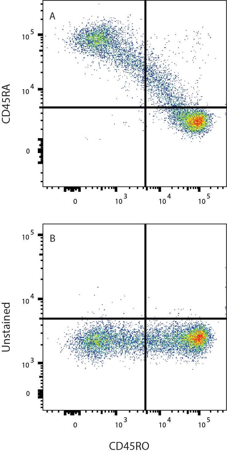PBMC lymphocytes were stained with Mouse Anti-Human CD45RO PE‑conjugated Monoclonal Antibody (Catalog # FAB10642P) and either (A) Mouse Anti-Human CD45RA mFluor™ Violet 500-Conjugated Monoclonal Antibody (Catalog # FAB11444MFV500) or (B) unstained. View our protocol for Staining Membrane-associated Proteins. 