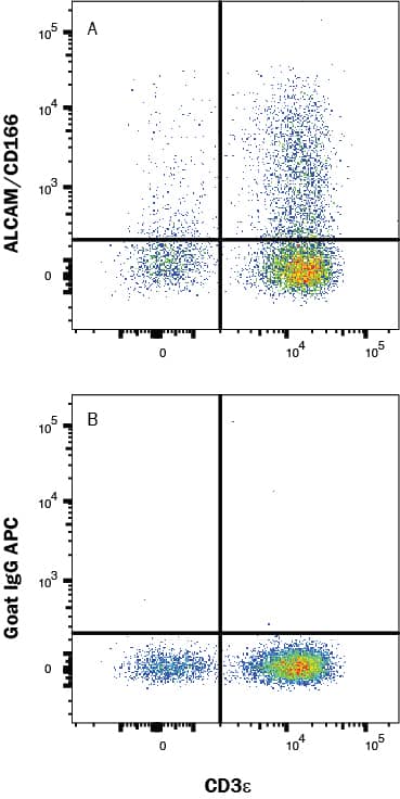 Human PBMC's were stained with Mouse Anti-Human CD3 epsilon  PE‑conjugated Monoclonal Antibody (Catalog # FAB100P) and either (A) Goat Anti-Mouse ALCAM/CD166 APC‑conjugated Antigen Affinity-purified Polyclonal Antibody (Catalog # FAB1172A) or (B) isotype control antibody (Catalog # IC108A). View our protocol for Staining Membrane-associated Proteins. 