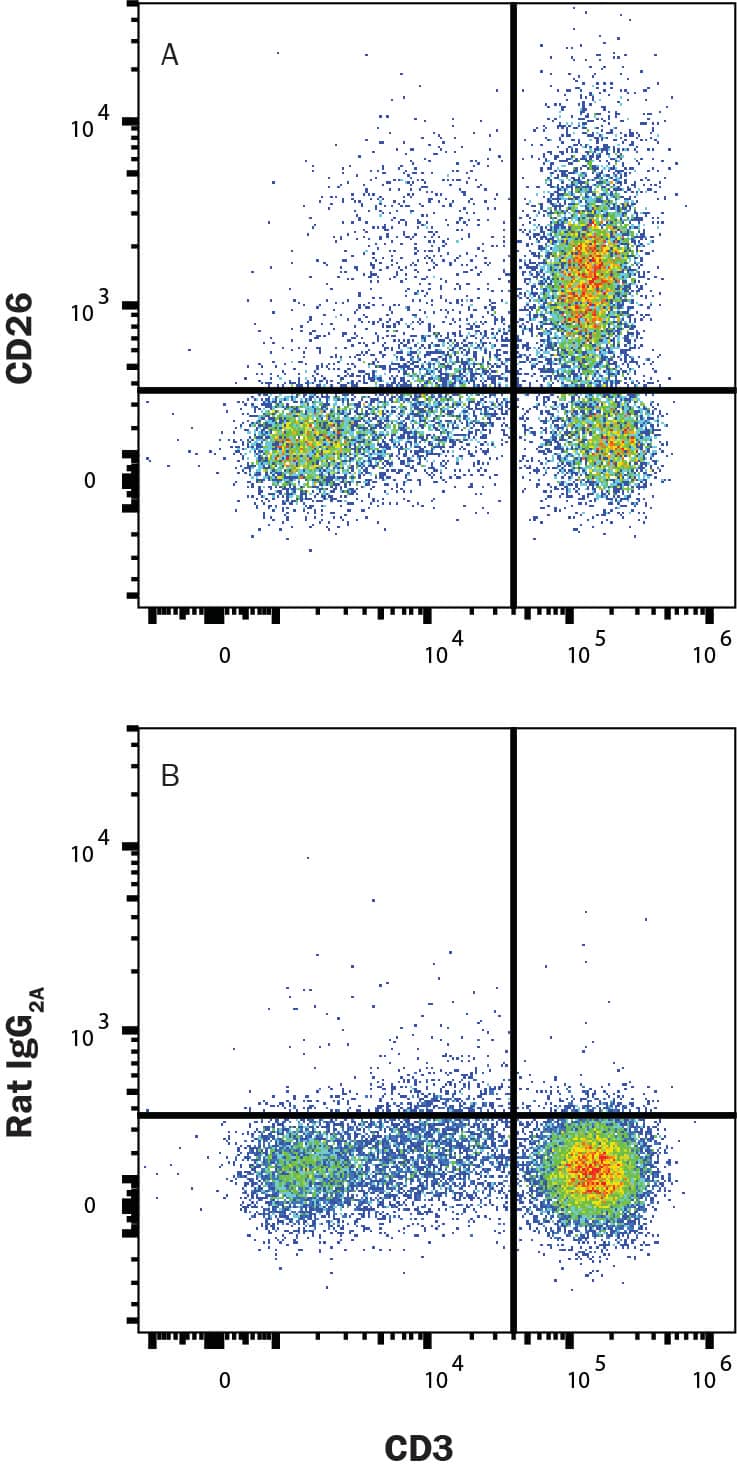 PBMC lymphocytes were stained with Mouse Anti-Human CD3 epsilon  Fluorescein‑conjugated Monoclonal Antibody (Catalog # FAB100F) and either (A) Rat Anti-Human DPPIV/CD26 Alexa Fluor® 700‑conjugated Monoclonal Antibody (Catalog # FAB1180N) or (B) Rat IgG2A Alexa Fluor 700 Isotype Control (Catalog # IC006N). View our protocol for Staining Membrane-associated Proteins. 