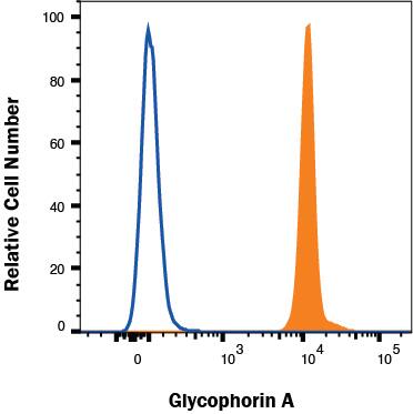 Human red blood cells were stained with Mouse Anti-Human Glycophorin A Alexa Fluor® 488‑conjugated Monoclonal Antibody (Catalog # FAB1228G, filled histogram) or isotype control antibody (Catalog # IC002G, open histogram). View our protocol for Staining Membrane-associated Proteins. 