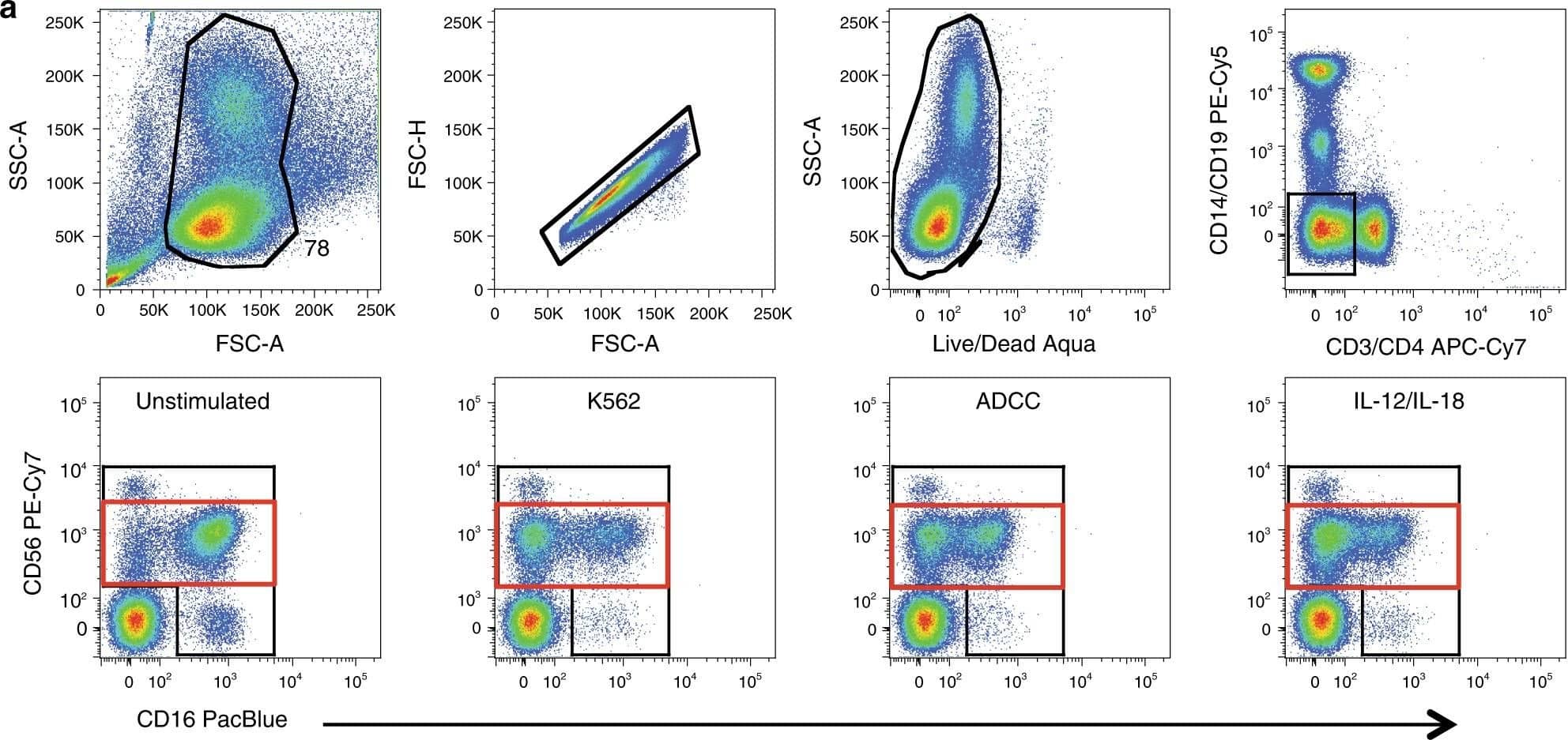Frequency of responding NK cells across multiple stimulation conditions. a Top row: overall successive gating strategy demonstrates initial broad gating on forward and side scatter to include large lymphocytes. Forward area and height are used to discriminate single cells followed by identification of viable cells. Monocytes and B cells are excluded using CD14 and CD19, and T cells are excluded using CD3 and CD4. Bottom row: CD56 and CD16 are used to identify NK cells and changes in CD16 expression across stimulation conditions. Black gate is the total NK population and red gate is CD56 dim population. b A univariate analysis of the frequency of CD107a, INF-gamma , TNF, granzyme B, perforin, and eomesodermin expression from the total NK cell population as well as CD57 and CD8 expression are shown. c Pie charts of classic Boolean analysis of five functional markers measured (CD107a, IFN-gamma , TNF, granzyme B, and perforin). Comparison of pies and nonparametric partial permutation tests (Monte Carlo simulation) are performed to determine statistical significance between pies (p-value < 0.0001)69. d Graph of classic Boolean analysis of five functional markers measured. Four healthy subjects from four independent experiments in each stimulation condition are included. CD107a, IFN-gamma , and TNF are mock subtracted (i.e., stimulated condition − unstimulated result). Black bars represent the standard error mean (SEM) for each stimulation condition calculated as the variance of the sampling distribution obtained, equal to the variance of the population divided by the sample size Image collected and cropped by CiteAb from the following publication (//www.nature.com/articles/s41467-018-03618-w), licensed under a CC-BY license. Not internally tested by R&D Systems.