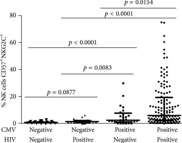 Distribution of CD57+NKG2C+ NK frequencies in different groups. Flow cytometry was done on PBMC to assess CD57+NKG2C+ NK frequency by gating on lymphocytes, excluding CD3+ cells, gating on CD56dim cells, and plotting NKG2C versus CD57 expression. Horizontal lines bisecting groups represent medians with IQR shown above and below them. Significant differences between medians are shown above lines spanning the groups compared. Image collected and cropped by CiteAb from the following publication (//pubmed.ncbi.nlm.nih.gov/27314055), licensed under a CC-BY license. Not internally tested by R&D Systems.