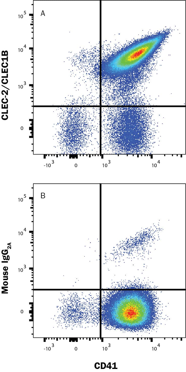 Platelets were stained with Mouse Anti-Human Integrin  alpha 2b/CD41 PE‑conjugated Monoclonal Antibody (Catalog # FAB7616P) and either (A) Mouse Anti-Human CLEC-2/CLEC1B APC‑conjugated Monoclonal Antibody (Catalog # FAB1718A) or (B) Mouse IgG2B Allophycocyanin Isotype Control (Catalog # IC0041A). View our protocol for Staining Membrane-associated Proteins. 
