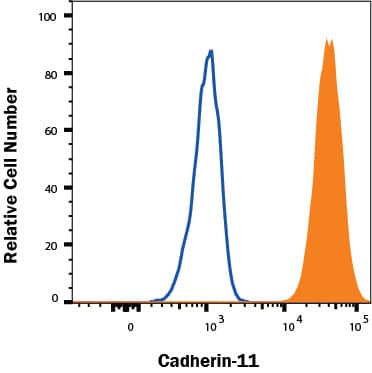 NCI-H460 human small cell lung cancer cell line was stained with Mouse Anti-Human Cadherin-11 PE-conjugated Monoclonal Antibody (Catalog # FAB17901P, filled histogram) or isotype control antibody (IC003P, open histogram). Cells were stained in a buffer containing Ca2+and Mg2+. View our protocol for Staining Membrane-associated Proteins.
