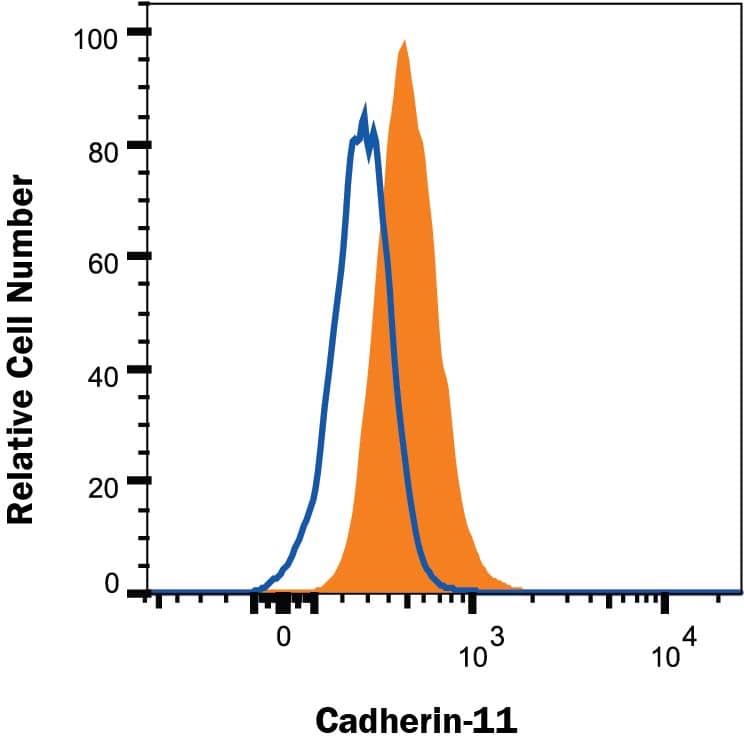 NCI-H460 human large cell lung carcinoma cell line was stained with Goat Anti-Human Cadherin-11 PE-conjugated Antigen Affinity-purified Polyclonal Antibody (Catalog # FAB1790P, filled histogram) or isotype control antibody (IC108P, open histogram). Staining was performed using our protocol for Staining Membrane-associated Proteins protocol.