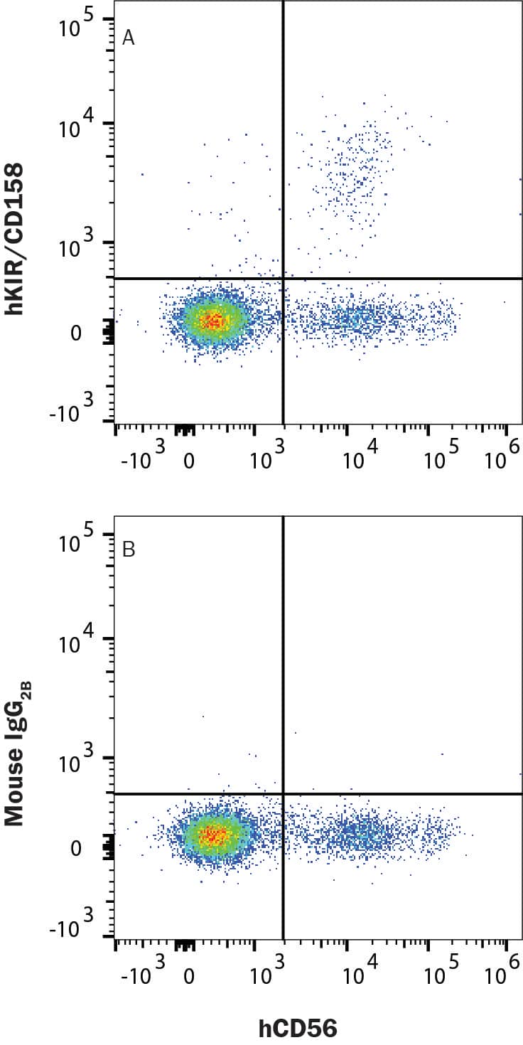 PBMC lymphocytes were stained with Rabbit Anti-Human NCAM‑1/CD56 PE‑conjugated Monoclonal Antibody (FAB24086P) and either (A) Mouse Anti-Human KIR/CD158 Alexa Fluor® 647‑conjugated Monoclonal Antibody (Catalog # FAB1848R) or (B) isotype control antibody (IC0041R). View our protocol for Staining Membrane-associated Proteins.