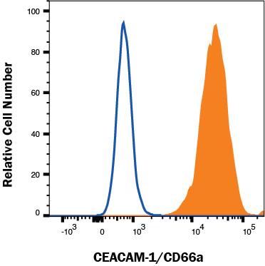 HepG2 cells were stained with Mouse Anti-Human CEACAM‑1/CD66a PE‑conjugated Monoclonal Antibody (Catalog # FAB2244P, filled histogram) or isotype control antibody (Catalog # IC0041P, open histogram). View our protocol for Staining Membrane-associated Proteins. 