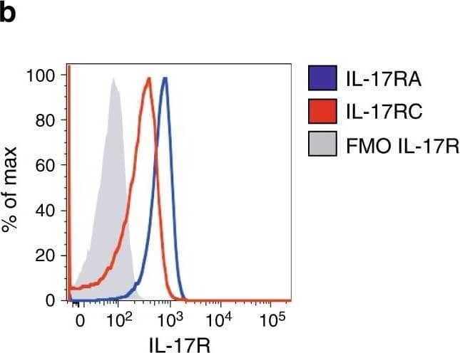 IL-17 promotes STAT-3 phosphorylation in Vk*MYC plasma cells. a Th17 polarization of OT-II splenocytes cultured for 7 days with BM serum obtained from WT, Early-MM and Late-MM Vk*MYC mice, and assessed for intracellular cytokine release by flow cytometry. None and Cytokines refer to the culture condition with or without IL-6, TGF-beta 1, anti-IL-4, and anti-IFN-gamma  antibodies, respectively. (None n = 3, Cytokine n = 3, WT n = 6, Vk*MYC Early n = 11, Vk*MYC Late n = 11). Mean ± SD of three independent experiments. Unpaired t test: *P < 0.05; **P < 0.01; ***P < 0.001. b Plasma cells were also stained with anti-IL-17RA and anti-IL-17RC antibodies (blue and red line respectively) and analyzed by flow-cytometry; FMO (Fluorescence Minus One) sample was not stained for IL-17R (gray histogram). c, d Representative histograms and e quantification of Vk*MYC PCs cultured in the presence of either one of the following stimuli: saturating amounts of IL6 (light blue line) or IL-17 (dark blue line), or BM sera from Early- (red line) or Late-MM (black dotted line), or BM sera from Early-MM and anti-IL17 antibodies (purple line). After culture, plasma cells were analyzed by flow-cytometry for STAT3 phosphorylation (pSTAT3). (IL-6 n = 5, IL-17A n = 5, Vk*MYC Early n = 8, Vk*MYC Early +  alpha IL-17A n = 8, Vk*MYC Late n = 8). Mean ± SD of triplicate independent determinations. Unpaired t test: *P < 0.05; **P < 0.01; ***P < 0.001; ****P < 0.0001 Image collected and cropped by CiteAb from the following publication (//pubmed.ncbi.nlm.nih.gov/30510245), licensed under a CC-BY license. Not internally tested by R&D Systems.