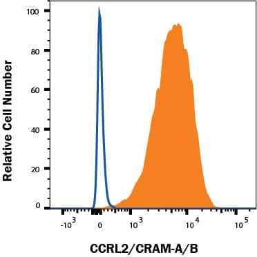 MDA-MB-231 human breast adenocarcinoma cell line was stained with Mouse Anti-Human CCRL2/CRAM-A/B APC-conjugated Monoclonal Antibody (Catalog # FAB23501A, filled histogram) or Mouse IgG2B Allophycocyanin Isotype Control (IC0041A, open histogram). Staining was performed using our Staining Membrane-associated Proteins protocol.