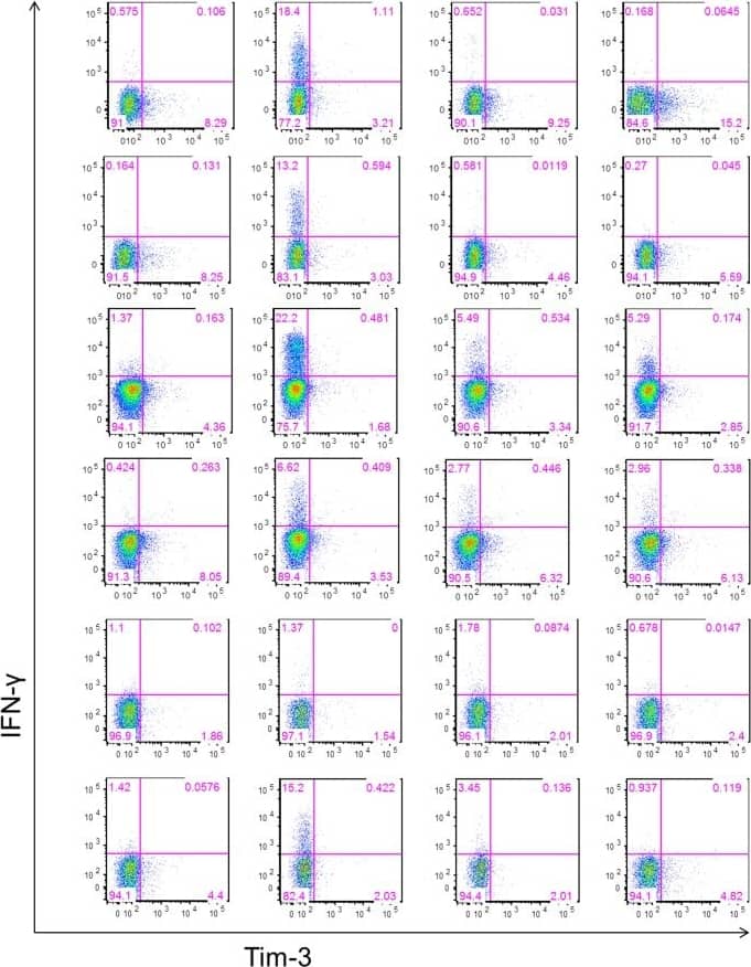 Gating strategy for phenotyping IFN-gamma  secreting T cells in response to stimulation.The frequencies of Tim-3+ and Tim-3− IFN-gamma  secreting CD4+ and CD8+ T cells were measured in PBMC collected at day 30 post-index from 6 HLA-A02 WNV-infected donors and incubated with or without anti-CD3/anti-CD28 mAbs, WNV peptide pool, and SVG9 tetramer. Tim-3− and Tim-3+ CD4+ and CD8+ T cells were analyzed for IFN-gamma  secretion. The gates were set using fluorescence minus one controls. Dot-plots for CD8+ T cells from all 6 WNV+ subjects in different stimulation conditions are shown. Image collected and cropped by CiteAb from the following publication (//dx.plos.org/10.1371/journal.pone.0092134), licensed under a CC-BY license. Not internally tested by R&D Systems.