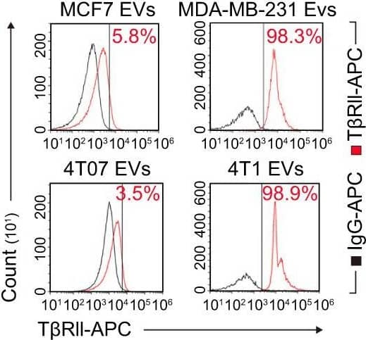 Extrafacial expression of T beta RII on malignant breast cancer cell-derived EVs&its regulation by TGF-beta . f FACS analysis&quantification of the %age of T beta RII positive (T beta RII+) EVs from different breast cancer cell lines (left panel). n = 3 biological replicates per group (right panel). The %age was referred to as the %age of beads with T beta RII+ EVs. Image collected & cropped by CiteAb from the following open publication (//pubmed.ncbi.nlm.nih.gov/35915084), licensed under a CC-BY license. Not internally tested by R&D Systems.