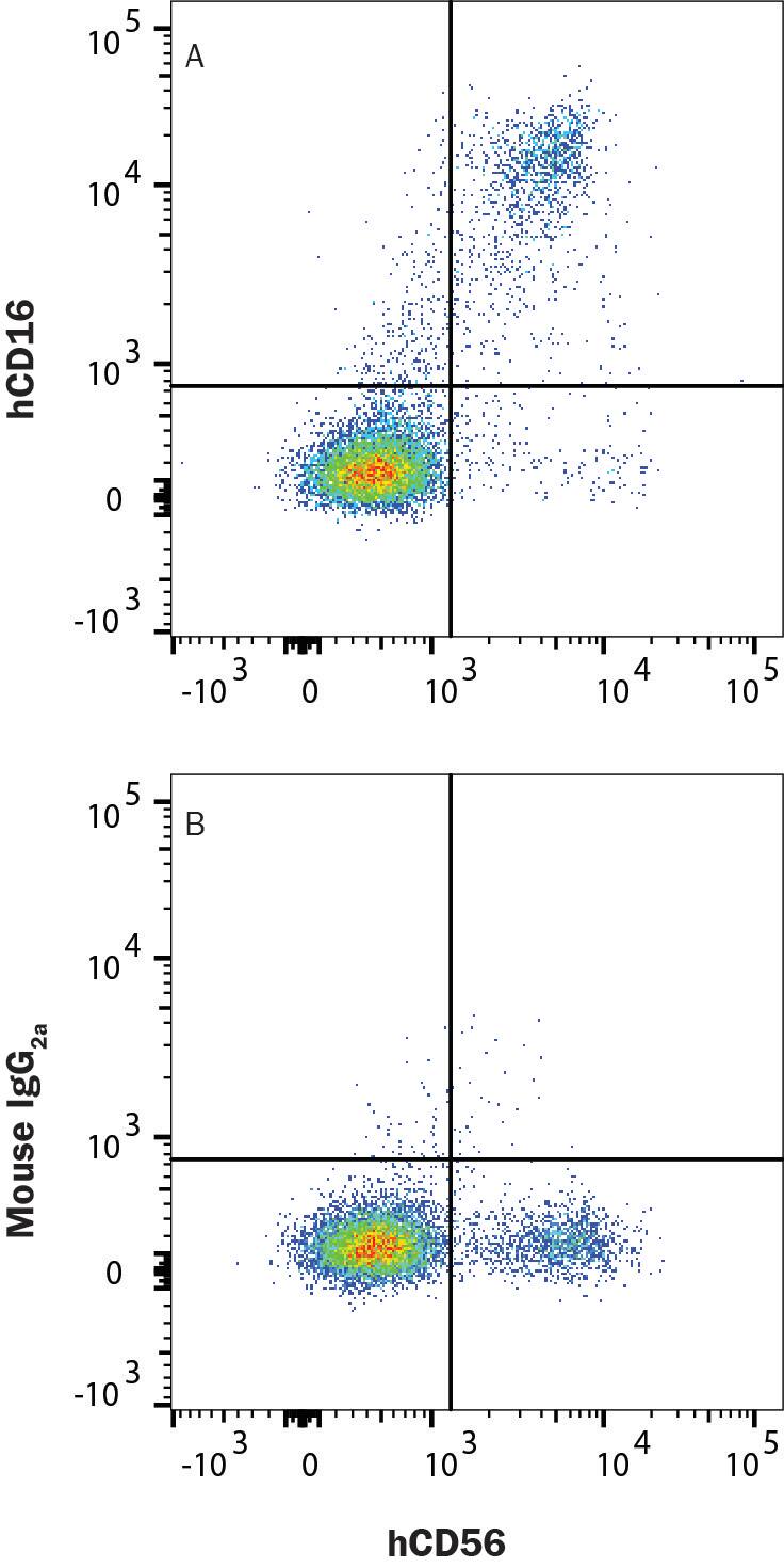 Human peripheral blood mononuclear cells (PBMCs) were stained with (A) Mouse Anti-Human Fc gamma RIII A/B (CD16a/b) Alexa Fluor® 594-conjugated Monoclonal Antibody (Catalog # FAB2546T) or (B) Mouse IgG2A Alexa Fluor® 594-conjugated isotype control antibody (IC003T) along with Mouse Anti-Human CD56 Alexa Fluor® 647-conjugated Monoclonal Antibody (FAB24081R). Staining was performed using our Staining Membrane-associated Proteins protocol.