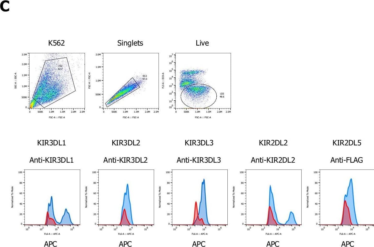 TAFA2 screen-related surface plasmon resonance (SPR) sensograms for KIR3 family members.(A, B) SPR sensorgrams for binding of TAFA-2 to KIR3DL1 and KIR3DL3 ECDs, respectively. (C) Gating strategy of K562 cells lentivirally transduced with KIR3DL1, KIR3DL2, KIR3DL3, KIR2DL2, or KIR2DL5A (FLAG-tagged) stained with the indicated allophycocyanin (APC)-labeled antibodies (blue) compared to untransduced K562 parental cells (red). Image collected and cropped by CiteAb from the following open publication (//pubmed.ncbi.nlm.nih.gov/36178190), licensed under a CC-BY license. Not internally tested by R&D Systems.