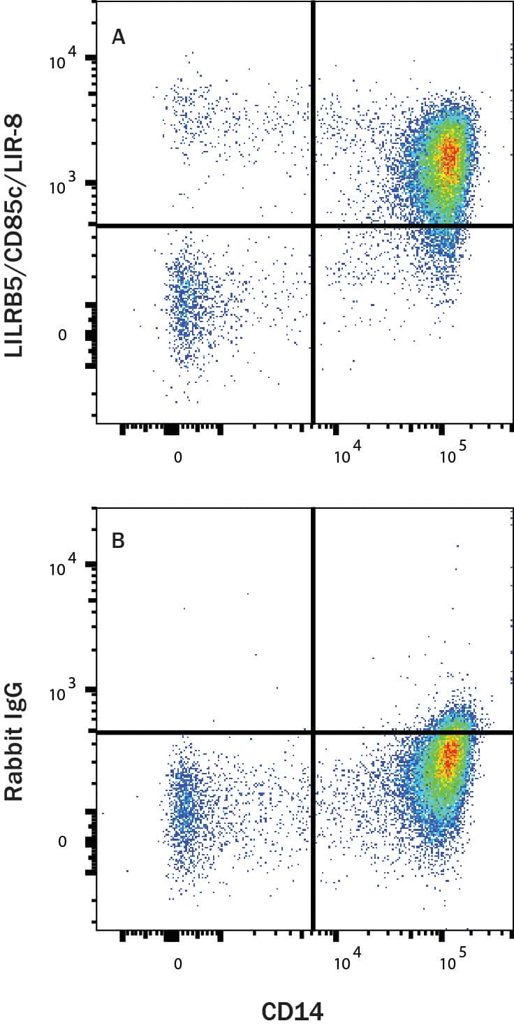 PBMC monocytes were stained with Mouse Anti-Human CD14 PE‑conjugated Monoclonal Antibody (Catalog # FAB3832P) and either (A) Rabbit Anti-Human LILRB5/CD85c/LIR-8 APC‑conjugated Monoclonal Antibody (Catalog # FAB3065A) or (B) Rabbit IgG APC-conjugated Antibody (Catalog # IC1051A). View our protocol for Staining Membrane-associated Proteins. 