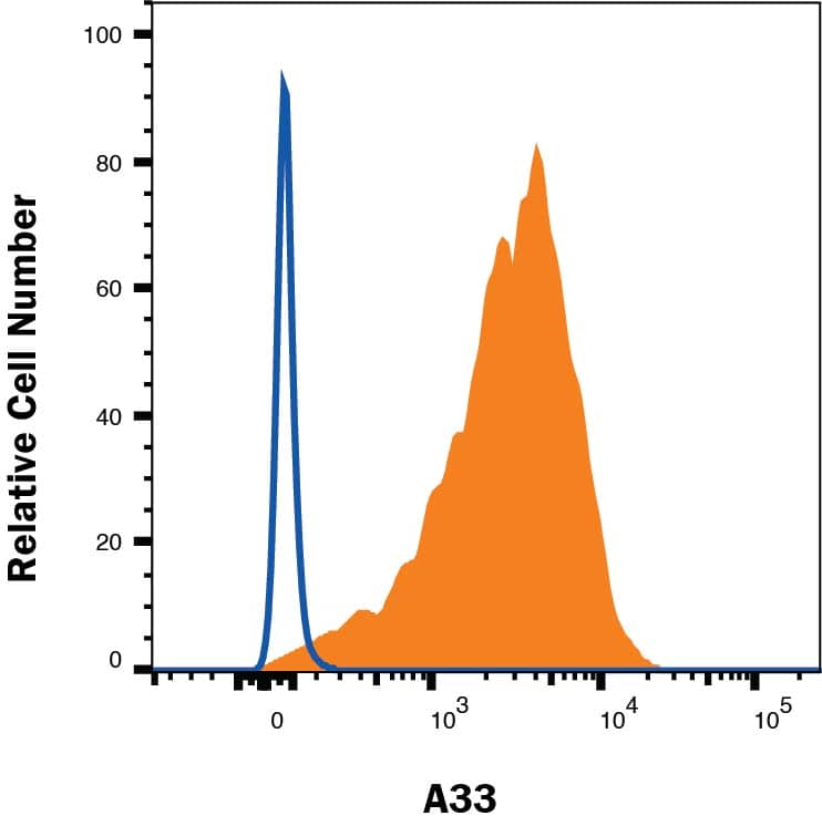 Colo205 human colon carcinoma cell line was stained with Rat Anti-Human A33 Alexa Fluor® 488-conjugated Monoclonal Antibody (Catalog # FAB3080G, filled histogram) or isotype control antibody (IC006G, open histogram). Staining was performed using our Staining Membrane-associated Proteins protocol. 