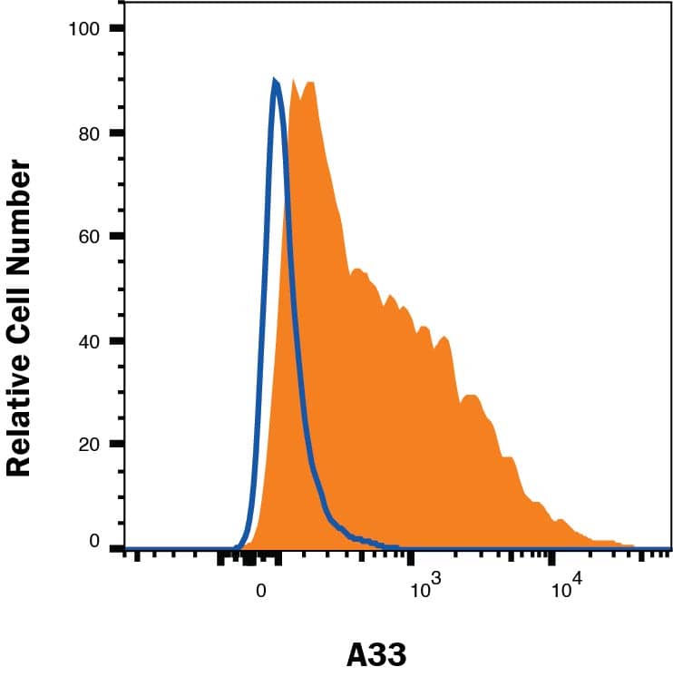 Colo-205 human colon adenocarcinoma cell line was stained with Rat Anti-Human A33 PE-conjugated Monoclonal Antibody (Catalog # FAB3080P, filled histogram) or isotype control antibody (IC006P, open histogram). Staining was performed using our Staining Membrane-associated Proteins protocol.