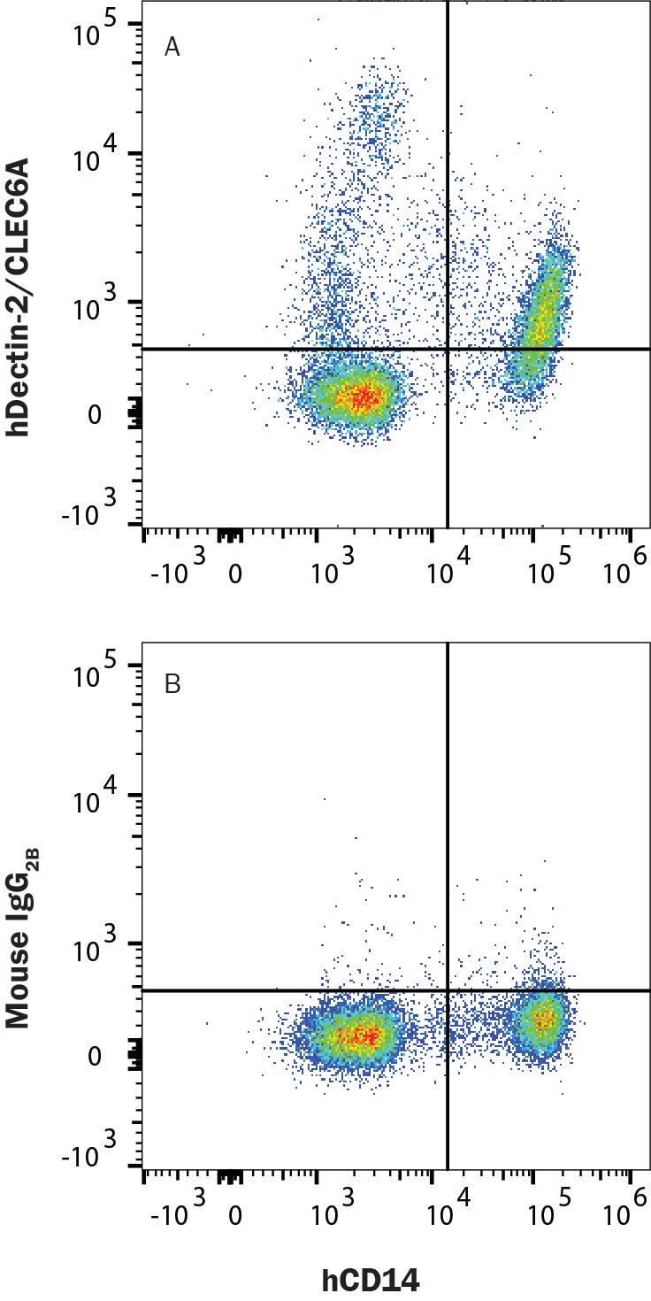 Human peripheral blood mononuclear cell (PBMCs) were stained with (A) Mouse Anti-Human Dectin-2/CLEC6A Alexa Fluor® 647-conjugated Monoclonal Antibody (FAB31141R) or (B) Mouse IgG2b Isotype Control (IC0041R) followed by Mouse Anti-Human CD14 FITC-conjugated Monoclonal Antibody (FAB3832F). View our protocol for Staining Membrane-associated Proteins.