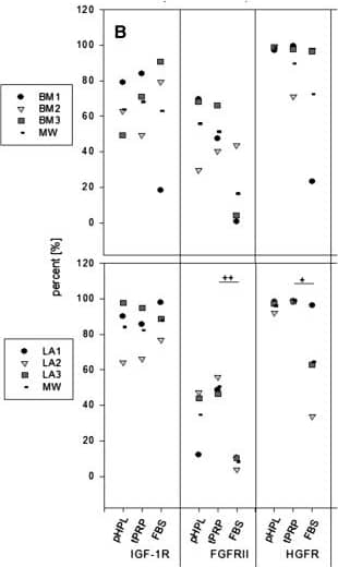 Influence of selected cytokines on MSC proliferation; receptor expression profiles and concentration. (A) MSC were seeded in 5% pHPL, tPRP and FBS, respectively, and stimulated with for 3 days with 50 ng/ml HGF, 10 ng/ml IGF-1 or 25 ng/ml bFGF. Cell counts were acquired with the CellTiter-Glo assay and then normalized to the unstimulated control to derive relative cell count values. (B)% positivity of IGF, FGF and HGF receptor expression of BM- and LA-MSC (donors 1–3, respectively) in pHPL, tPRP and FBS assessed by flow cytometry. (C – E): IGF, FGF and HGF concentrations were determined by ELISA in pHPL and tPRP supplemented medium (medium, 6 different batches); medium stored for 24 h (control medium) and conditioned by MSC (CM) (each n = 3). Symbols indicate statistically significant diffences between: * stimulation; + supplements; # MSC sources; (one symbol p < 0.05; two symbols p < 0.01). Image collected and cropped by CiteAb from the following publication (//bmcmolcellbiol.biomedcentral.com/articles/10.1186/1471-2121-14-48), licensed under a CC-BY license. Not internally tested by R&D Systems.