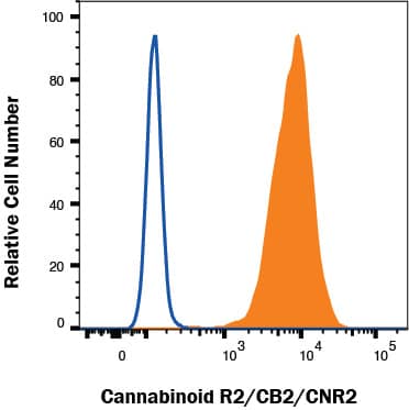 HEK293 human embryonic kidney cell line transfected with either human Cannabinoid R2/CB2/CNR2 (filled histogram) or human Cannabinoid R1/CB1/CNR1 (open histogram) was stained with Mouse Anti-Human Cannabinoid R2/CB2/CNR2 Alexa Fluor® 488-conjugated Monoclonal Antibody (Catalog # FAB36551RG). Cells were gated based on control antibody staining (<a class=