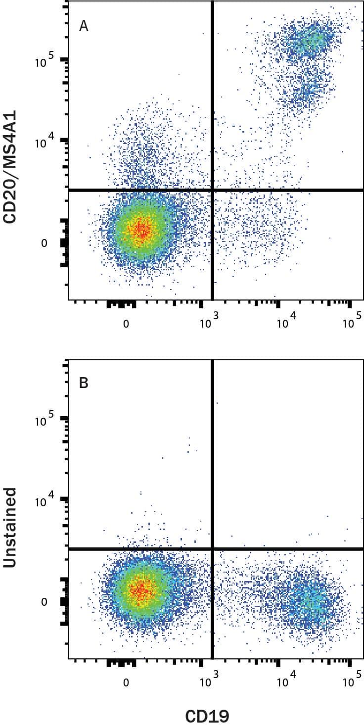PBMC lymphocytes were stained with Mouse Anti-Human CD19 PE‑conjugated Monoclonal Antibody (Catalog # FAB4867P) and either (A) Mouse Anti-Human CD20 mFluor™ Violet 450-Conjugated Monoclonal Antibody (Catalog # FAB4225MFV450) or (B) unstained . View our protocol for Staining Membrane-associated Proteins. 