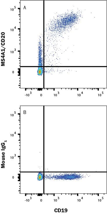 Human peripheral blood mononuclear cells (PBMCs) were stained with either (A) Mouse Anti-Human MS4A1/CD20 Alexa Fluor® 647-conjugated Monoclonal Antibody (Catalog # FAB4225R) or (B) Mouse IgG1 Isotype Control (IC002R) and Mouse Anti-Human CD19 PE-conjugated Monoclonal Antibody (FAB4867P). Staining was performed using our Staining Membrane-associated Proteins protocol. 