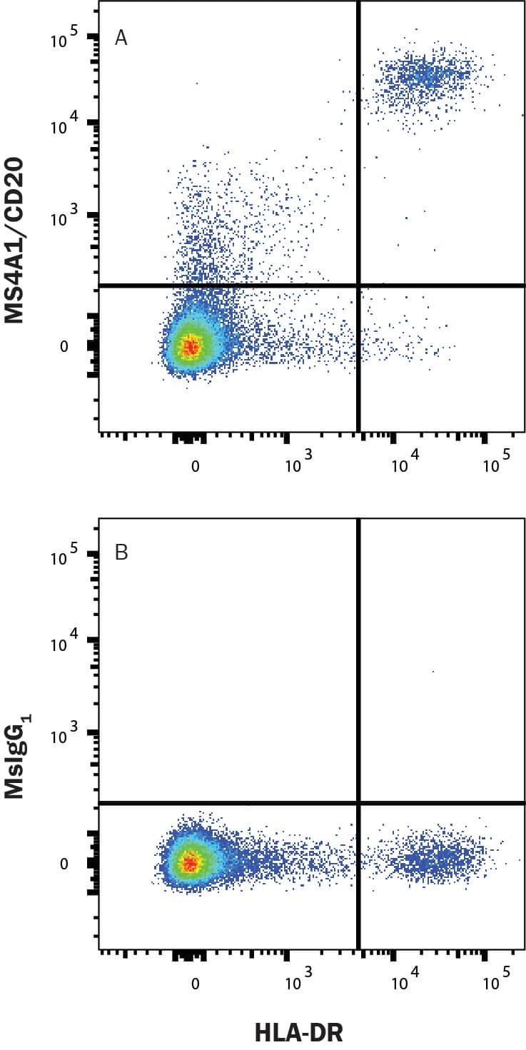 Human peripheral blood mononuclear cells (PBMCs) were stained with Mouse Anti-Human HLA-DR PE-conjugated Monoclonal Antibody (FAB4869P) and either (A) Mouse Anti-Human MS4A1/CD20 Alexa Fluor® 647-conjugated Monoclonal Antibody (Catalog # FAB4225R) or (B) Mouse IgG1Alexa Fluor 647 Isotype Control (IC002R). Staining was performed using our Staining Membrane-associated Proteins protocol. 