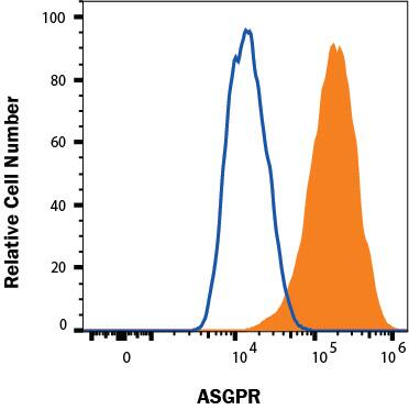 HepG2 human hepatocellular carcinoma cell line was stained with Mouse Anti-Human ASGR1/ASGPR1 Alexa Fluor® 488-conjugated Monoclonal Antibody (Catalog # FAB43941G, filled histogram) or isotype control antibody (IC002G, open histogram). Staining was performed using our Staining Membrane-associated Proteins protocol.
