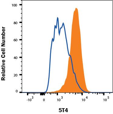 MCF-7 human breast cancer cell line was stained with Mouse Anti-Human 5T4 Fluorescein-conjugated Monoclonal Antibody (Catalog # FAB49751F, filled histogram) or isotype control antibody (IC002F, open histogram). Staining was performed using our Staining Membrane-associated Proteins protocol. 