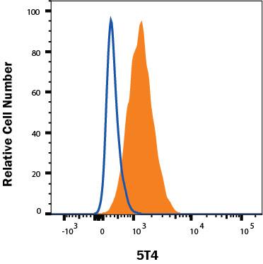 MCF-7 human breast cancer cell line was stained with Mouse Anti-Human 5T4 PE-conjugated Monoclonal Antibody (Catalog # FAB49751P, filled histogram) or isotype control antibody (IC002P, open histogram). Staining was performed using our Staining Membrane-associated Proteins protocol. 