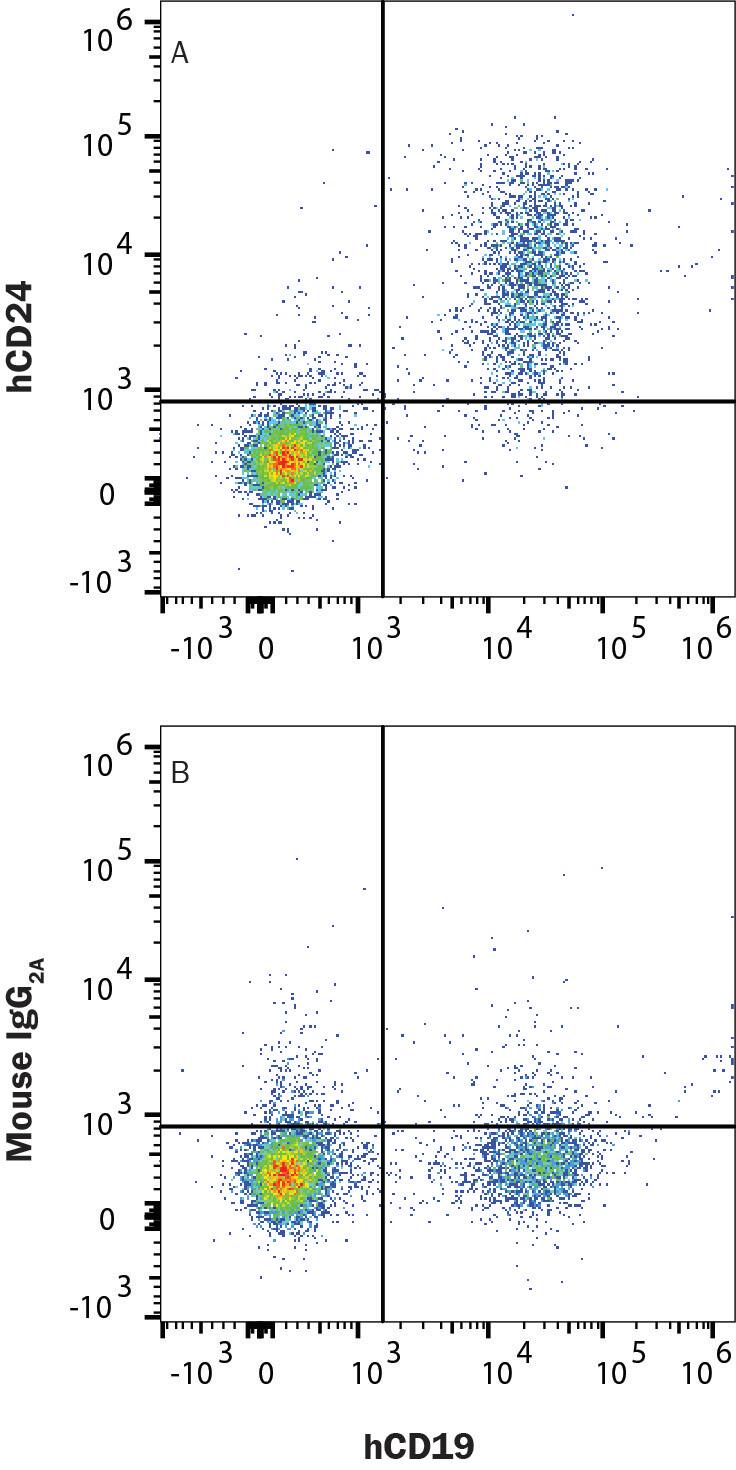 Human peripheral blood lymphocytes were stained with Mouse Anti-Human CD19 PE-conjugated Monoclonal Antibody (FAB4867P) and either (A) Mouse Anti-Human CD24 Alexa Fluor® 700-conjugated Monoclonal Antibody (FAB5247N) or (B) Mouse IgG2A Isotype Control Antibody (IC003N). View our protocol for Staining Membrane-associated Proteins.
