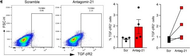 miR-21 silencing induces an antiinflammatory phenotype and upregulates TGF-beta –related pathway in macrophages. Macrophages transfected with an miR-21 antagomir (antagomir-21) or scramble control followed by RT-qPCR and flow cytometry. (A) miR-21-5p fold change in BMDMs after 48-hour transfection with antagomir-21 (n = 8). (B) Spry2 mRNA fold change in BMDMs after 48-hour transfection with antagomir-21 (n = 8). (C) Tgfb1 fold change in BMDMs after transfection with antagomir-21, n = 8 per group pooled from 2 independent experiments. (D) Spearman’s correlation between miR-21-5p expression and Tgfb1 mRNA expression (n = 11). (E) RT-qPCR of Tgfbr2, Tgfbr1, Tgfbr3, and Smad7 in BMDMs after 48-hour transfection with antagomir-21 (n = 8). (F) RT-qPCR of proinflammatory genes Tnfa and Il6 in BMDMs transfected with antagomir-21 (n = 8). (G) RT-qPCR of antiinflammatory genes Mrc1 and Il10, n = 8 per group, pooled from 2 independent experiments. (H) Flow cytometry analysis of TGF-beta R2 expression in BMDMs after silencing miR-21-5p, n = 4 per group. The bar graphs represent the percentage of F4/80+TGF-beta R2+ cells. Data are presented as mean ± SEM. *P < 0.05, **P < 0.01 by unpaired, 2-tailed Student’s t test (A–C and E–G). Image collected and cropped by CiteAb from the following open publication (//pubmed.ncbi.nlm.nih.gov/37071481), licensed under a CC-BY license. Not internally tested by R&D Systems.