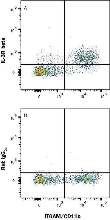 Mouse bone marrow cells were stained with Rat Anti-Mouse CD11b/Integrin alpha M PE‑conjugated Monoclonal Antibody (Catalog # FAB1124P) and either (A) Rat Anti-Mouse IL-3R beta APC‑conjugated Monoclonal Antibody (Catalog # FAB5492A) or (B) isotype control antibody (Catalog # IC006A). View our protocol for Staining Membrane-associated Proteins. 