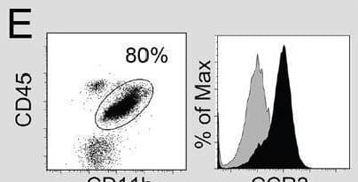IFN-gamma  and mAb9.2.27 increase cytotoxicity of microglia against GBM. (D-E) Ex vivo purified rat (D) and patient (E) macrophage/microglia from tumor microenvironment were investigated for cytotoxicity against P3-30 tumor pre-incubated or not with mAb9.2.27. Human TAMs were phenotyped for CD45+CD11b+CCR2 expression (E dot plot: CD45+ against CD11b+. E Histogram: isotype control grey histogram, CCR2 black histogram). Lower panel: % lysis of P3-30 tumor by ex vivo TAM from patient GBM following activation with IgG2a isotype control, or mAb9.2.27. Image collected and cropped by CiteAb from the following open publication (//pubmed.ncbi.nlm.nih.gov/24127551), licensed under a CC-BY license. Not internally tested by R&D Systems.