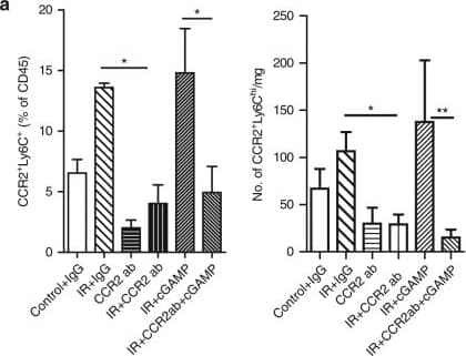 MDSC depletion enhances tumor response to radiation and STING agonist cGAMP treatment. a Flow cytometry analysis of immune CCR2+Ly6chi cells 3 days after IR (n = 3). b Tumor growth curves; n = 6; c percentage of tumor bearing mice ending on 33 days after starting of the treatments. d, e ratios of percentage of CD8 over CCR2+Ly6chi and Treg cells in treated tumors, respectively. n = 3. *P < 0.05; **P < 0.01. The experiments were repeated three times. Data are presented as mean ± s.e.m Image collected and cropped by CiteAb from the following publication (//pubmed.ncbi.nlm.nih.gov/29170400), licensed under a CC-BY license. Not internally tested by R&D Systems.