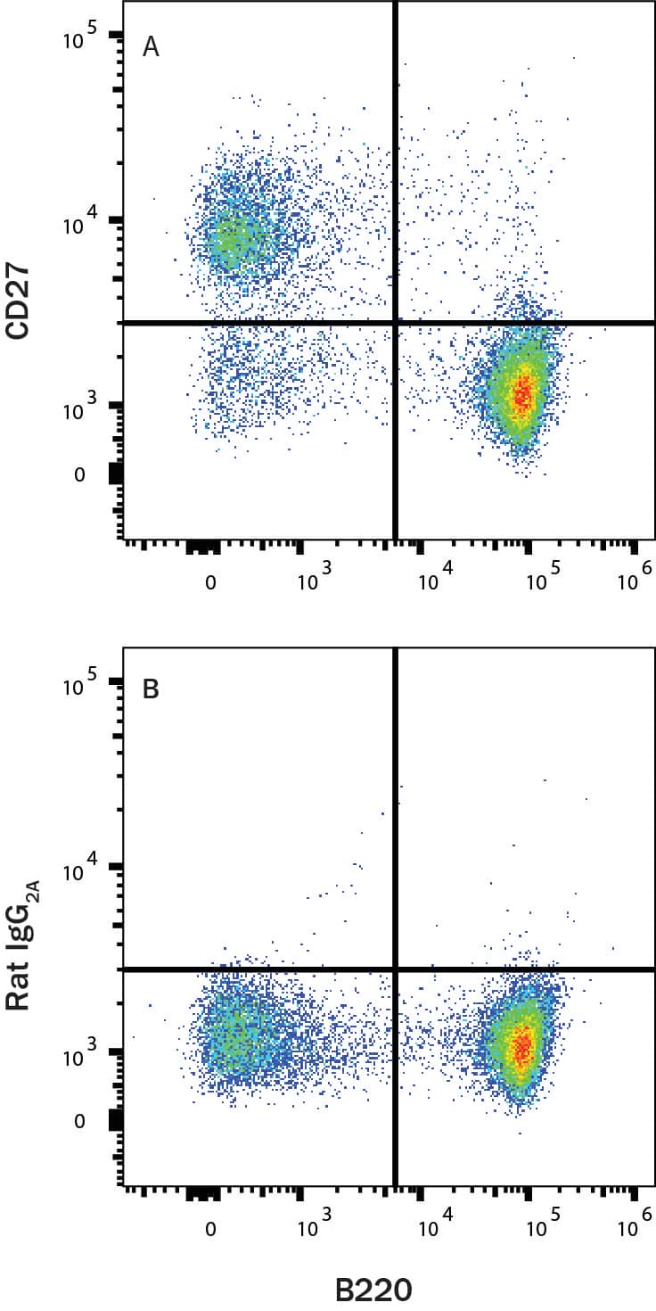 Mouse splenocytes were stained with Rat Anti-Mouse B220/CD45R PE‑conjugated Monoclonal Antibody (Catalog # FAB1217P) and either (A) Rat Anti-Mouse CD27/TNFRSF7 Alexa Fluor® 488‑conjugated Monoclonal Antibody (Catalog # FAB5741G) or (B) isotype control antibody (Catalog # IC006G). View our protocol for Staining Membrane-associated Proteins. 