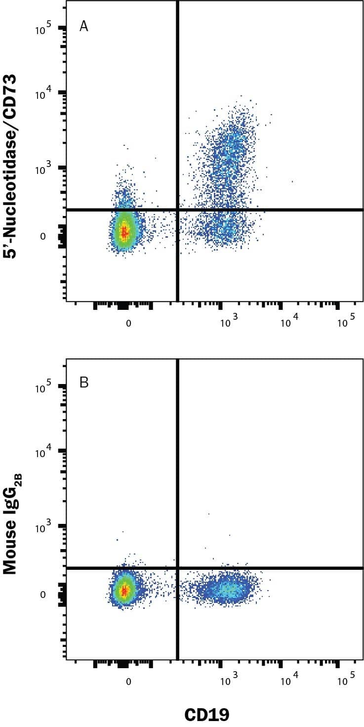 PBMC lymphocytes were stained with Mouse Anti-Human CD19 PE‑conjugated Monoclonal Antibody (Catalog # FAB4867P) and either (A) Mouse Anti-Human 5'‑Nucleotidase/CD73 APC‑conjugated Monoclonal Antibody (Catalog # FAB5795A) or (B) Mouse IgG2B Allophycocyanin Isotype Control (Catalog # IC0041A). View our protocol for Staining Membrane-associated Proteins. 