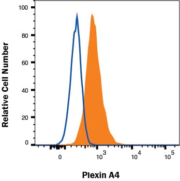 SH-SY5Y (filled histogram) and Jurkat (open histogram) cells were stained with Mouse Anti-Human Plexin A4 Alexa Fluor® 488‑conjugated Monoclonal Antibody (Catalog # FAB58561G). View our protocol for Staining Membrane-associated Proteins. 