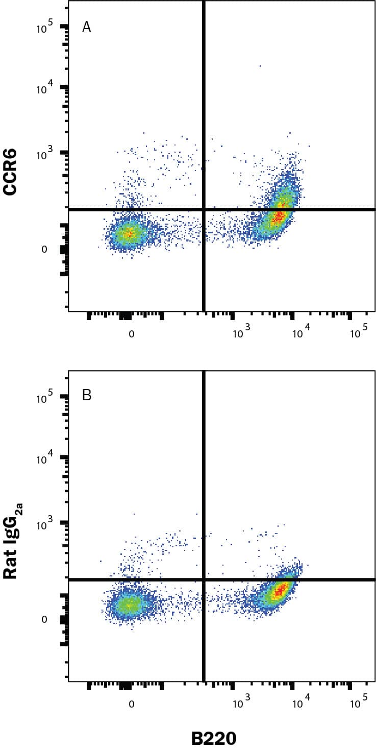 B6 splenocytes were stained with Rat Anti-Mouse B220/CD45R PE‑conjugated Monoclonal Antibody (Catalog # FAB1217P) and either (A) Rat Anti-Human/Mouse CCR6 Alexa Fluor® 488‑conjugated Monoclonal Antibody (Catalog # FAB590G) or (B) Rat IgG2A Alexa Fluor 488 Isotype Control (Catalog # IC006G). View our protocol for Staining Membrane-associated Proteins.