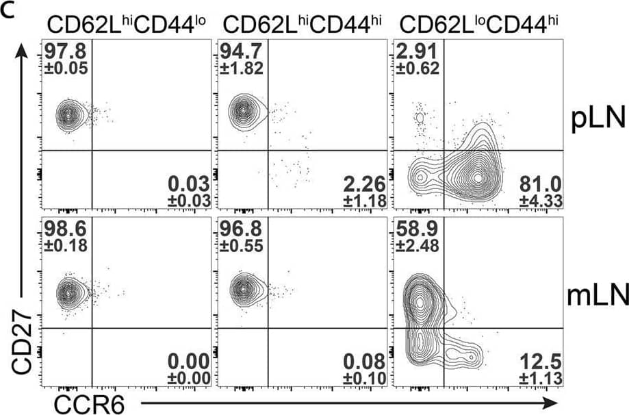  gamma δ T cells in LNs can be divided into distinct subsets using CD62L and CD44 expression. (a) CD62L and CD44 expression in  alpha  beta  CD8+ and  gamma δ T cells from skin-draining peripheral (top) and gut-draining mesenteric (bottom) LNs of untreated WT mice. Numbers show frequencies of respective gates (n = 6–9 mice in 5 independent experiments, mean ± SD). (b) Total cell numbers of CD62LhiCD44lo, CD62LhiCD44hi and CD62LloCD44hi  alpha  beta  CD8+ and  gamma δ T cells from skin-draining peripheral (top) and gut-draining mesenteric (bottom) LNs of untreated WT mice (n = 5 mice in 2 independent experiments, mean ± SD, one-way ANOVA with Tukey’s multiple comparisons test, **P < 0.01; ***P < 0.001; ns: not significant). (c) CD27 and CCR6 expression in CD62LhiCD44lo, CD62LhiCD44hi and CD62LloCD44hi  gamma δ T cells from skin-draining peripheral (top) and gut-draining mesenteric (bottom) LNs of untreated WT mice. Numbers show frequencies of respective gates (n = 5 mice in 2 independent experiments, mean ± SD). (d) Expression levels of S1pr1, Klf2, Ccr7 in CD62LhiCD44lo, CD62LhiCD44hi and CD62LloCD44hi  alpha  beta  CD8+ and  gamma δ T cells from mLN of untreated WT mice (n = 4 pools of 10–12 mice in 4 independent experiments, mean ± SD, one-way ANOVA with Tukey’s multiple comparisons test, AU: arbitrary units, *P < 0.05; **P < 0.01; ***P < 0.001; ns: not significant). Image collected and cropped by CiteAb from the following open publication (//pubmed.ncbi.nlm.nih.gov/29895956), licensed under a CC-BY license. Not internally tested by R&D Systems.