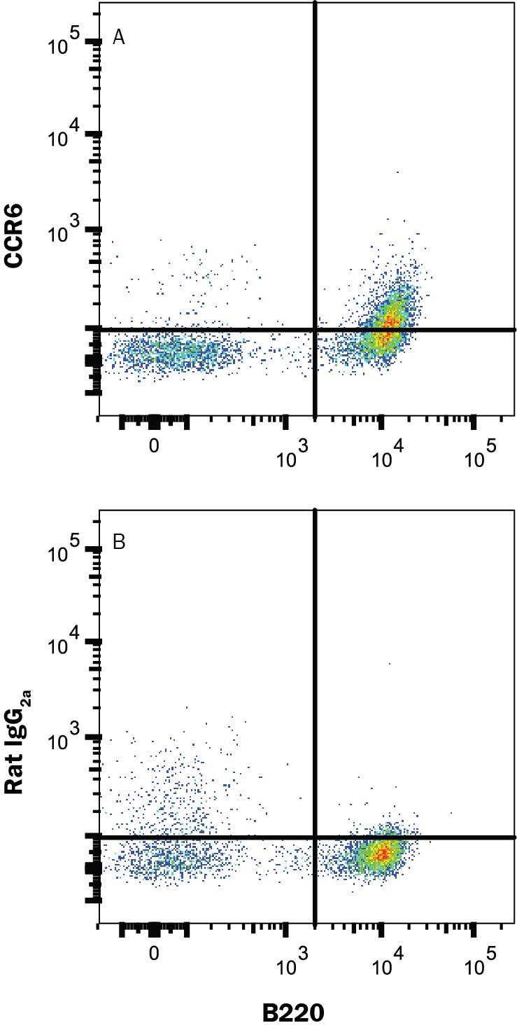 Mouse splenocytes were stained with (A) Rat Anti-Mouse CCR6 Alexa Fluor® 594-conjugated Monoclonal Antibody (Catalog # FAB590T) or (B) RatIgG2A isotype control antibody (IC006T) and Rat Anti-Mouse B220/CD45R APC-conjugated Monoclonal Antibody (FAB1217A). Staining was performed using our Staining Membrane-associated Proteins protocol. 
