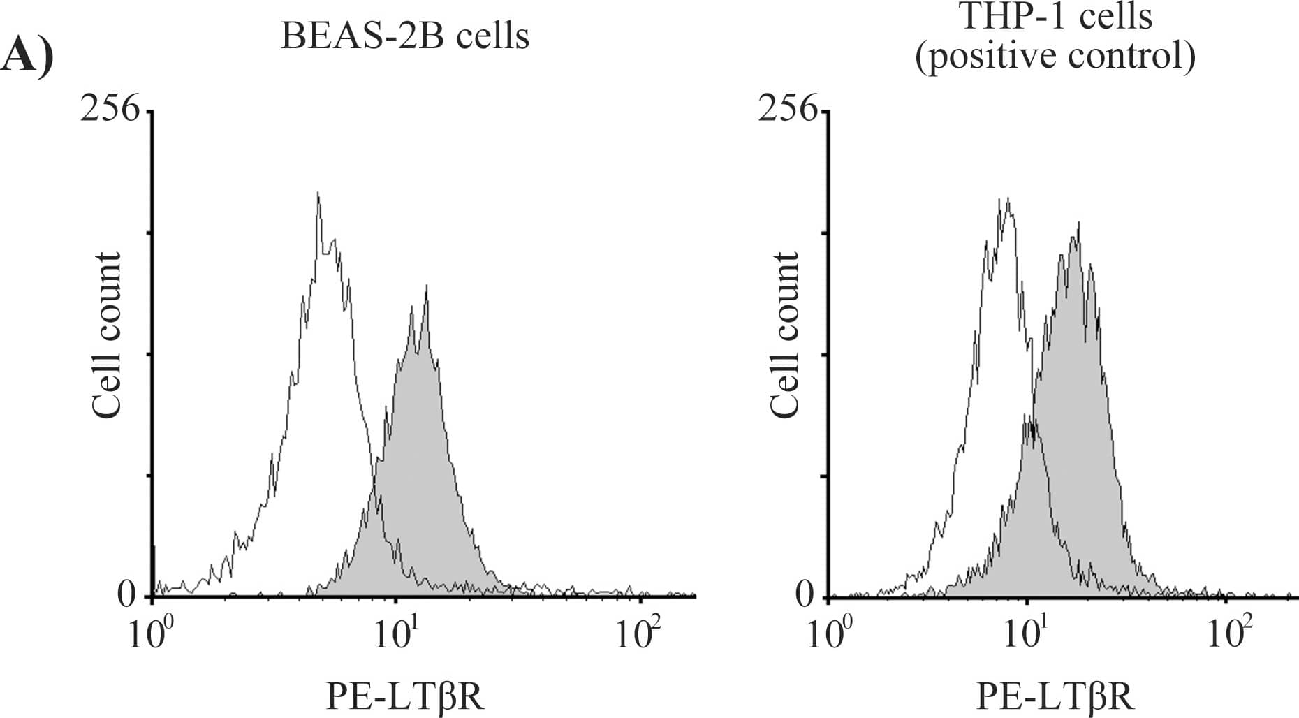 Expression of LT beta R and HVEM receptors on BEAS-2B cells.BEAS-2B cells and THP-1 cells (positive control) were treated with anti-PE labeled LT beta R antibody and anti-FITC labeled HVEM antibody. The fluorescence intensity was measured with a flow cytometer. THP-1 cells, a human monocytic cell line, were used as the positive control because they express both LT beta R and HVEM on their cell surface. The fluorescence intensities of LT beta R (A) and HVEM (B) suggest that BEAS-2B cells express LT beta R but not HVEM. Image collected and cropped by CiteAb from the following publication (//pubmed.ncbi.nlm.nih.gov/25501580), licensed under a CC-BY license. Not internally tested by R&D Systems.