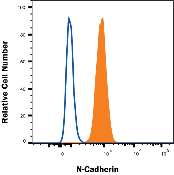 A172 cells were stained with Sheep Anti-Human N‑Cadherin Alexa Fluor® 488‑conjugated Antigen Affinity-purified Polyclonal Antibody (Catalog # FAB6426G, filled histogram) or isotype control antibody (Catalog # IC016G, open histogram). View our protocol for Staining Membrane-associated Proteins. 