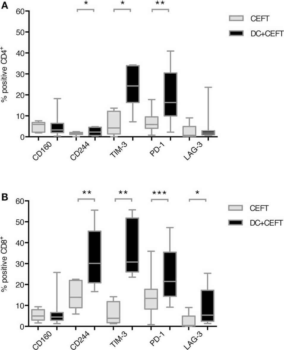 Upregulation of immune checkpoint ligands on T cells after dendritic cell stimulation. T cells of 7–14 healthy donor were cocultured with autologous TLR-3-DCs pulsed with CMV, EBV, influenza, tetanus (CEFT) peptide pool or with CEFT peptide pool alone. Expression of various inhibitory checkpoint molecules was analyzed by flow cytometry. The percentage of positive cells is presented as box-and-whisker plots for CD4+(A) and for CD8+(B) T cells. *p < 0.05; **p < 0.01. Image collected and cropped by CiteAb from the following publication (//journal.frontiersin.org/article/10.3389/fimmu.2018.00385/full), licensed under a CC-BY license. Not internally tested by R&D Systems.