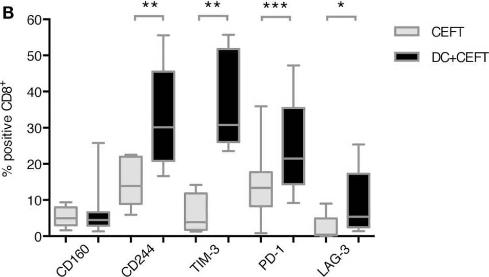 Upregulation of immune checkpoint ligands on T cells after dendritic cell stimulation. T cells of 7–14 healthy donor were cocultured with autologous TLR-3-DCs pulsed with CMV, EBV, influenza, tetanus (CEFT) peptide pool or with CEFT peptide pool alone. Expression of various inhibitory checkpoint molecules was analyzed by flow cytometry. The percentage of positive cells is presented as box-and-whisker plots for CD4+(A) and for CD8+(B) T cells. *p < 0.05; **p < 0.01. Image collected and cropped by CiteAb from the following publication (//journal.frontiersin.org/article/10.3389/fimmu.2018.00385/full), licensed under a CC-BY license. Not internally tested by R&D Systems.