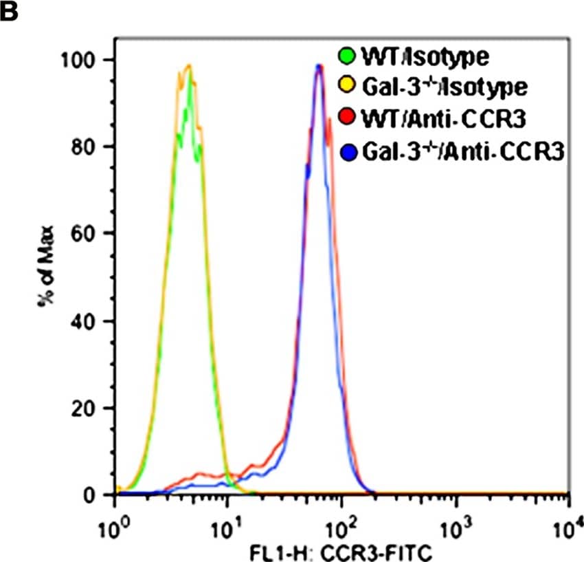 Gal-3 deficient Eos exhibit decreased migration toward eotaxin-1. (A) Migration of WT and Gal-3-/- BM-derived Eos toward murine eotaxin-1 (100 nM) in vitro using 96-well Transwell ® Chambers. Results are represented as percent cell migration relative to WT Eos. (B) Expression of CCR3 by WT and Gal-3-/- Eos by flow cytometry using FITC-conjugated rat anti-mouse CCR3 with FITC-conjugated rat IgG2a as isotype control. Representative data of two independent experiments with Eos from different mice is shown. (C) Migration of WT Eos suspended in medium alone or medium containing lactose or maltose toward murine eotaxin-1. Number of cells that migrated in each case was determined and expressed as the average number of cells/field. Combined data (mean ± SEM) from three independent experiments in duplicate is shown in (A) and (C). #p <0.05 versus WT Eos in (A). Image collected and cropped by CiteAb from the following publication (//journal.frontiersin.org/article/10.3389/fphar.2013.00037/abstract), licensed under a CC-BY license. Not internally tested by R&D Systems.