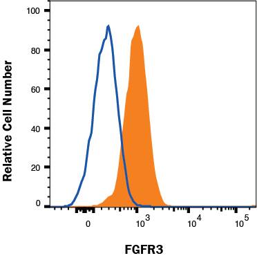HepG2 cells were stained with Mouse Anti-Human FGFR3 PE‑conjugated Monoclonal Antibody (Catalog # FAB766P, filled histogram) or isotype control antibody (Catalog # IC002P, open histogram). View our protocol for Staining Membrane-associated Proteins. 